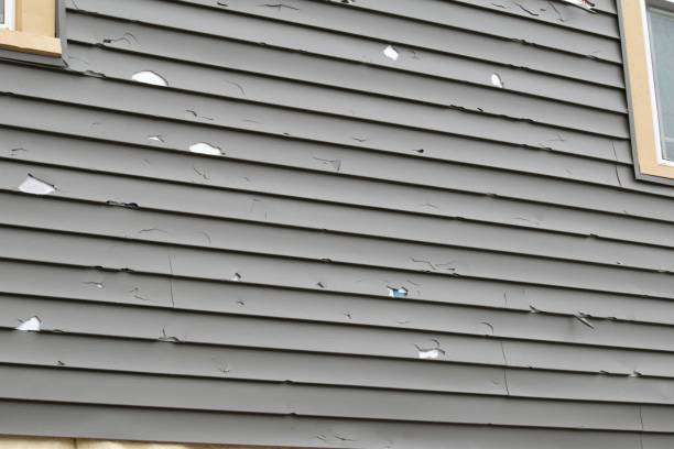 Custom Trim and Detailing for Siding in Lake Darby, OH